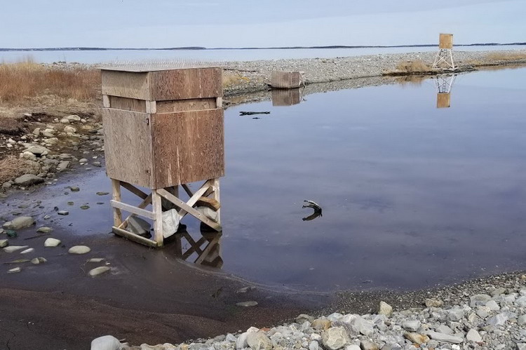 Gull Island, Lobster Bay, NS, March 29, 2020 - Alix d'Entremont photo