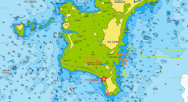 Cape Sable area, Shelburne county - Navionics chart/Alix d'Entremont