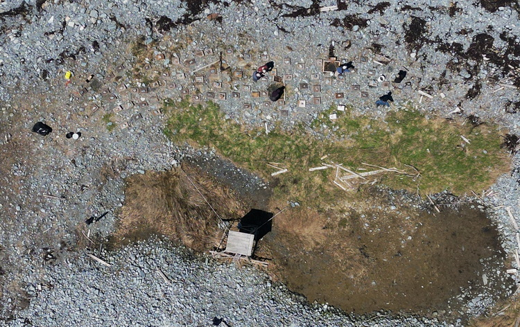 the placement of the nesting shelters
