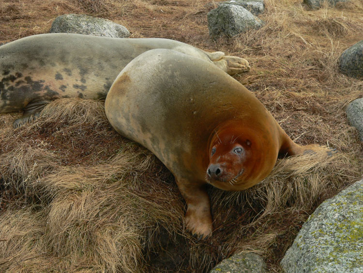 P1080705