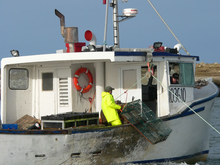 P1000441