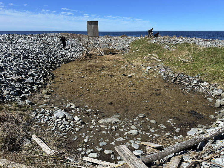 The tidal 