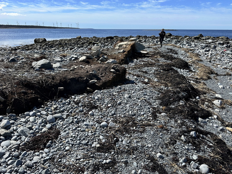 The south end of the island (looking southeast) - North Brother - April 26 2026