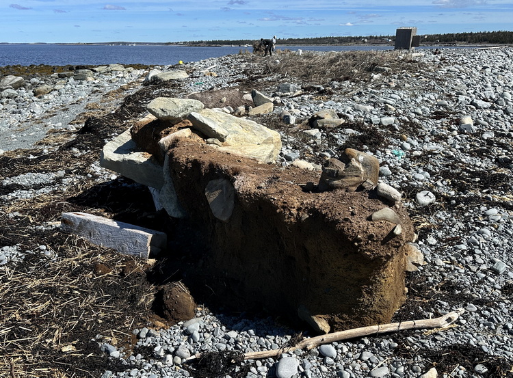 The south end of the island (looking north) - North Brother - April 26 2026