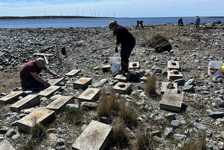 More cleanup and setting up - North Brother - April 26 2026