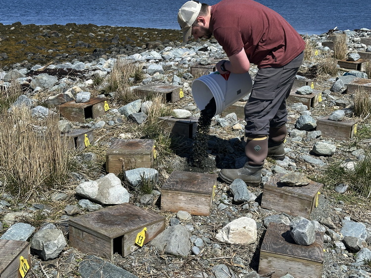 Making a base for shelter placement - North Brother - April 26 2026