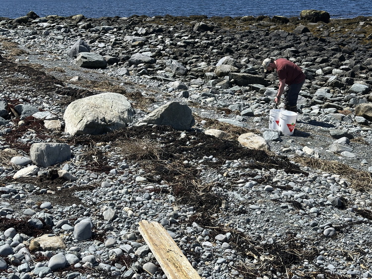 Luc getting fine gravel substrate for the nesting shelters
