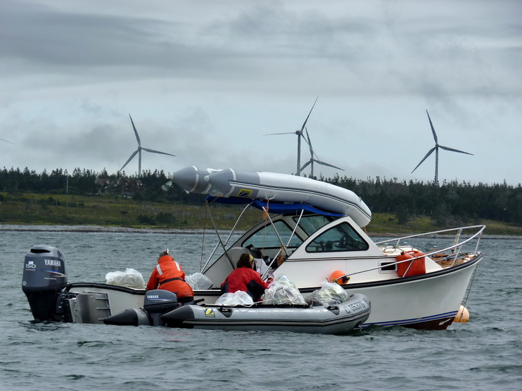 The Big Cleanup - N. Brother, Sep. 15, 2011 - Ted D'Eon photo