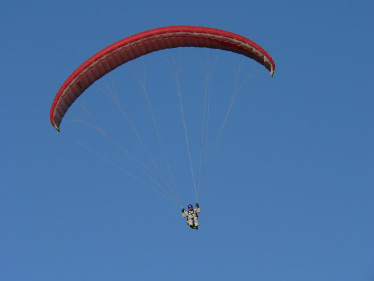 P1100391