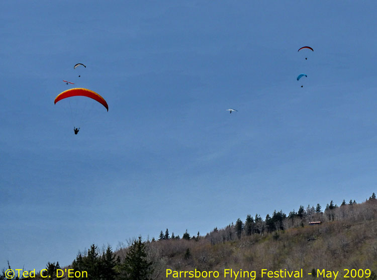 P1010986crb