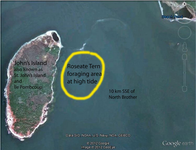 St. John's Island foraging area, 10 km SSE of N. Brother - Google Earth photo
