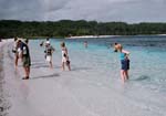 P1020780_g016_8Ab