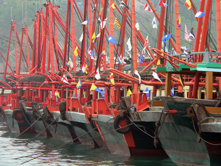 P1000671b