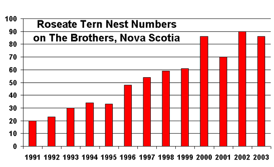Roseate Tern Nest Numbers