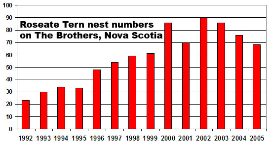 Roseate Tern Nest Numbers