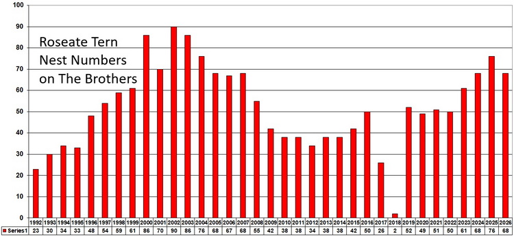ROST nest numbers on The Brothers - 1991 to 2026